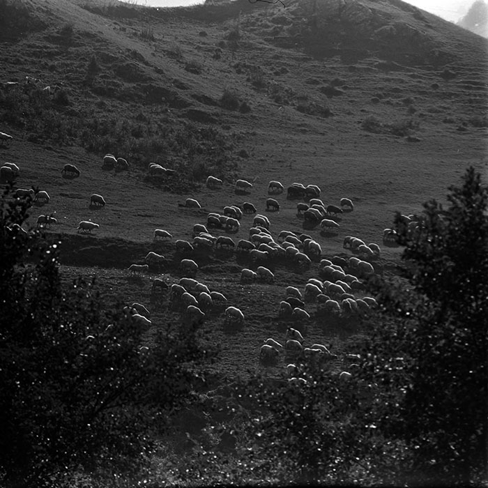 minerva_1967-1973_c1_c2r7_010