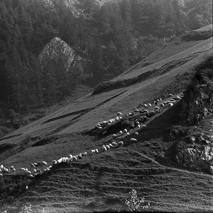 minerva_1967-1973_c1_c2r7_011