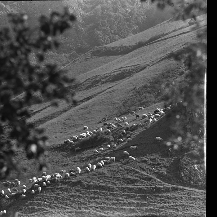 minerva_1967-1973_c1_c2r7_012