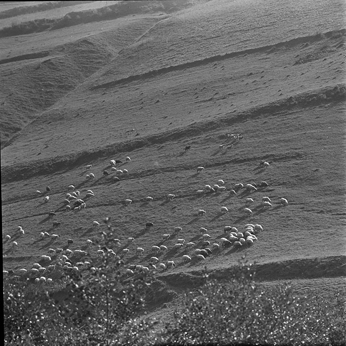 minerva_1967-1973_c1_c2r7_013