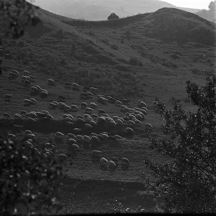 minerva_1967-1973_c1_c2r7_015