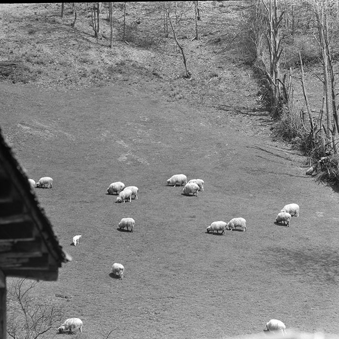 minerva_1967-1973_c1_c2r8_001