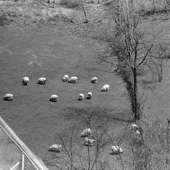 minerva_1967-1973_c1_c2r8_002