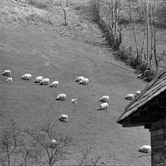 minerva_1967-1973_c1_c2r8_004