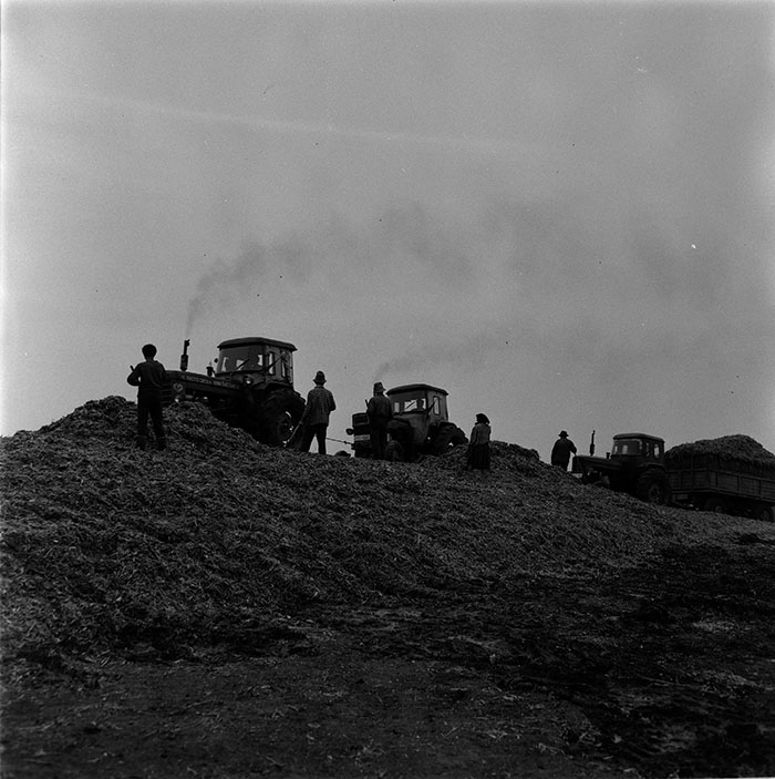 minerva_1967-1973_c1_c3r11_001