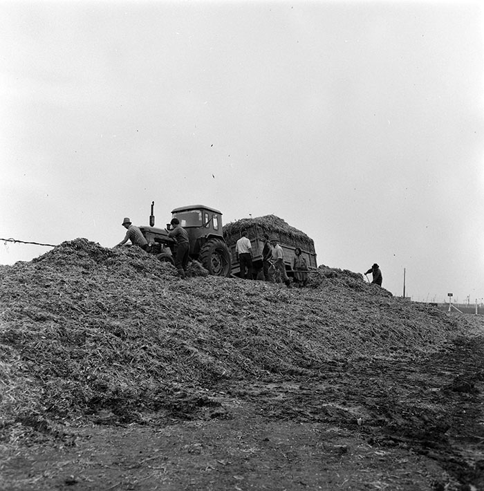 minerva_1967-1973_c1_c3r11_002