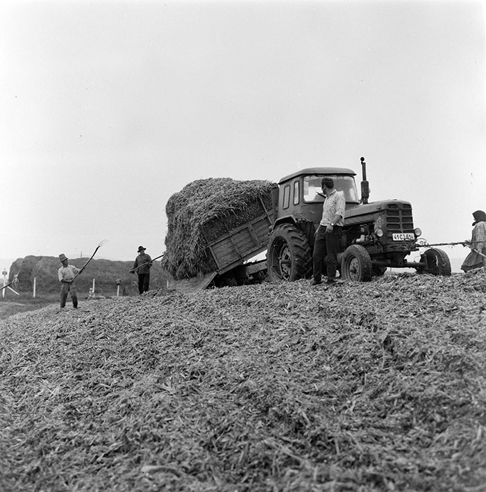 minerva_1967-1973_c1_c3r11_003