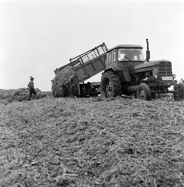 minerva_1967-1973_c1_c3r11_005