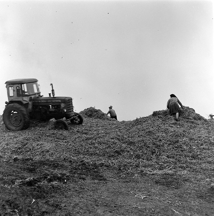 minerva_1967-1973_c1_c3r11_006