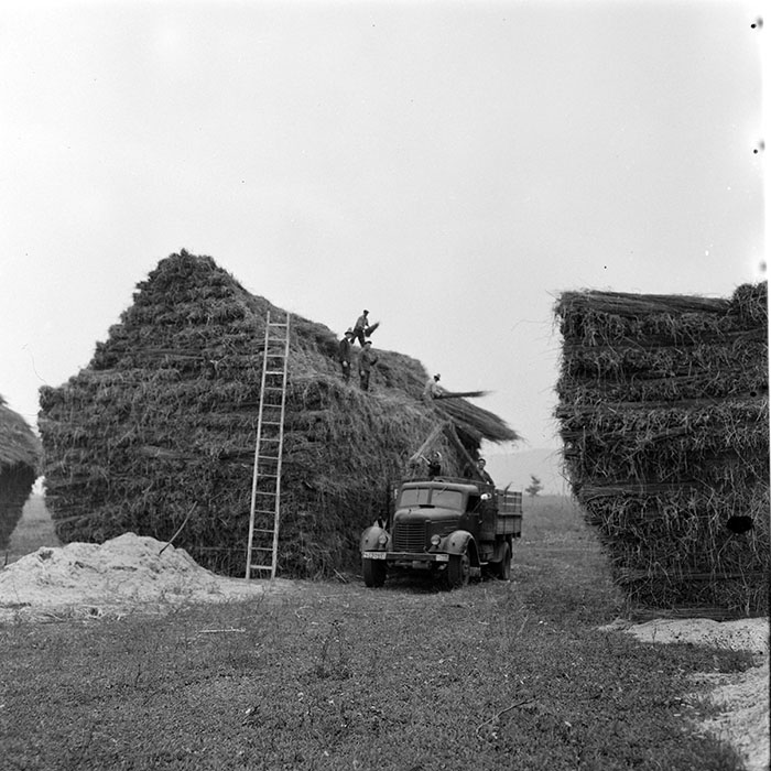 minerva_1967-1973_c1_c3r11_007