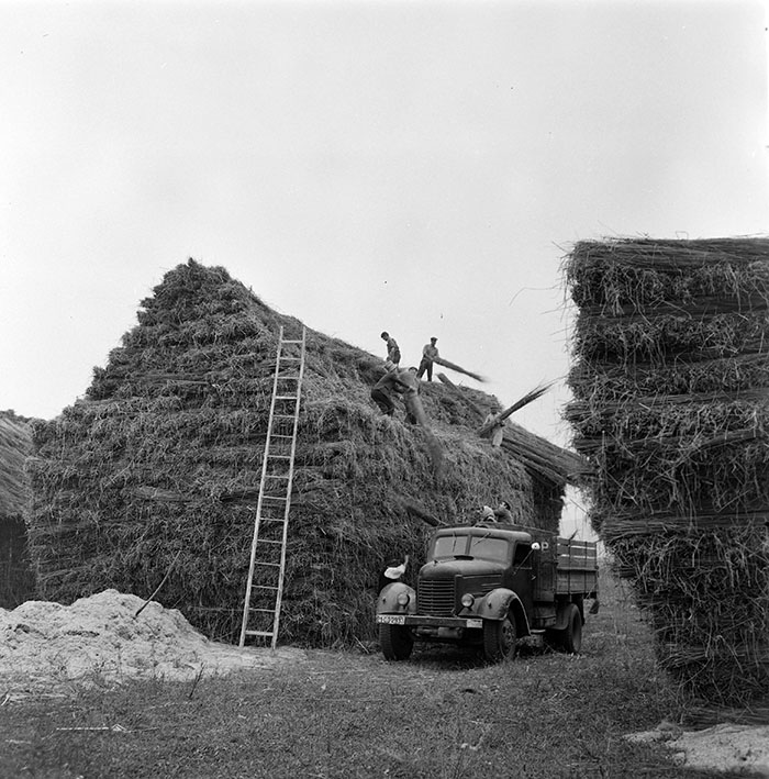 minerva_1967-1973_c1_c3r11_008