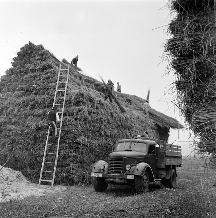 minerva_1967-1973_c1_c3r11_009