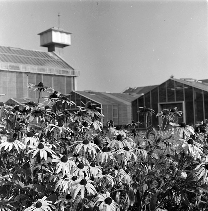 minerva_1967-1973_c1_c3r12_007