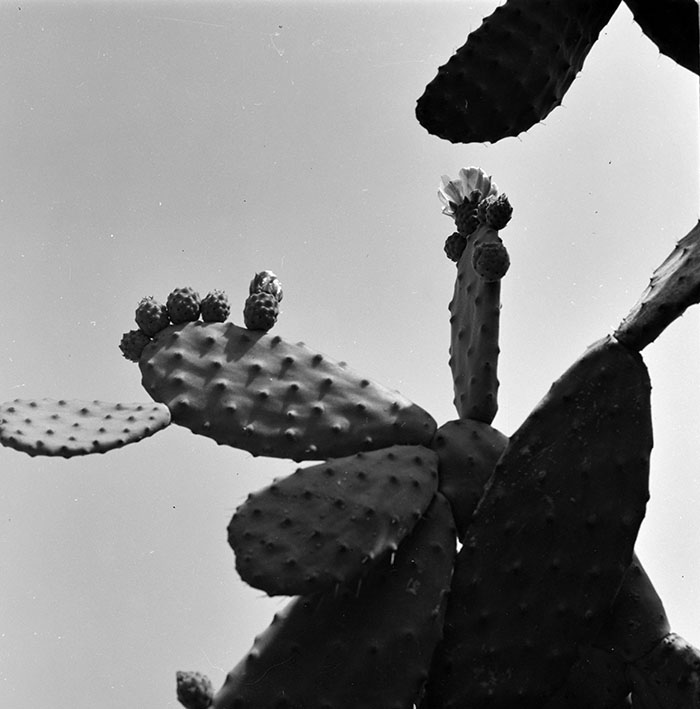 minerva_1967-1973_c1_c3r12_010