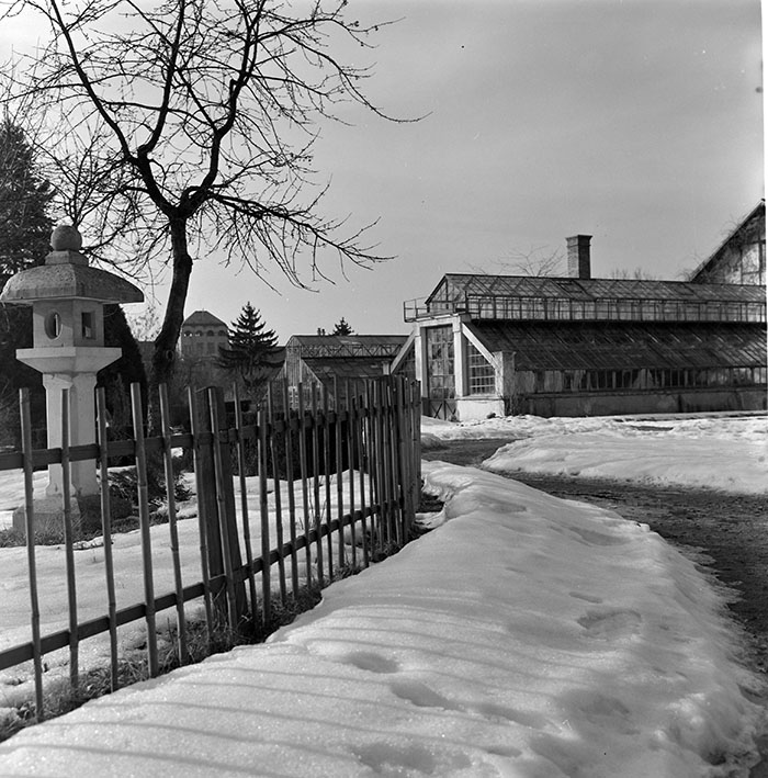 minerva_1967-1973_c1_c3r12_016