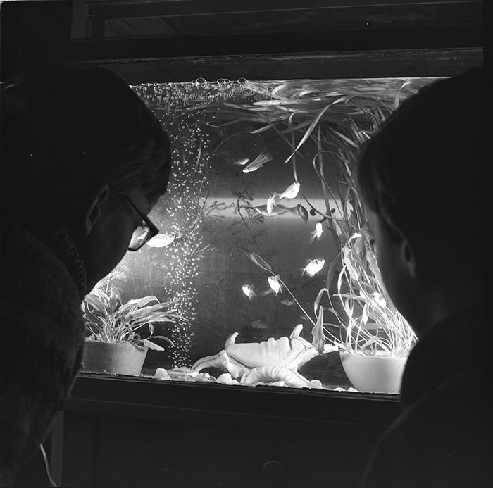 minerva_1967-1973_c1_c3r14_001