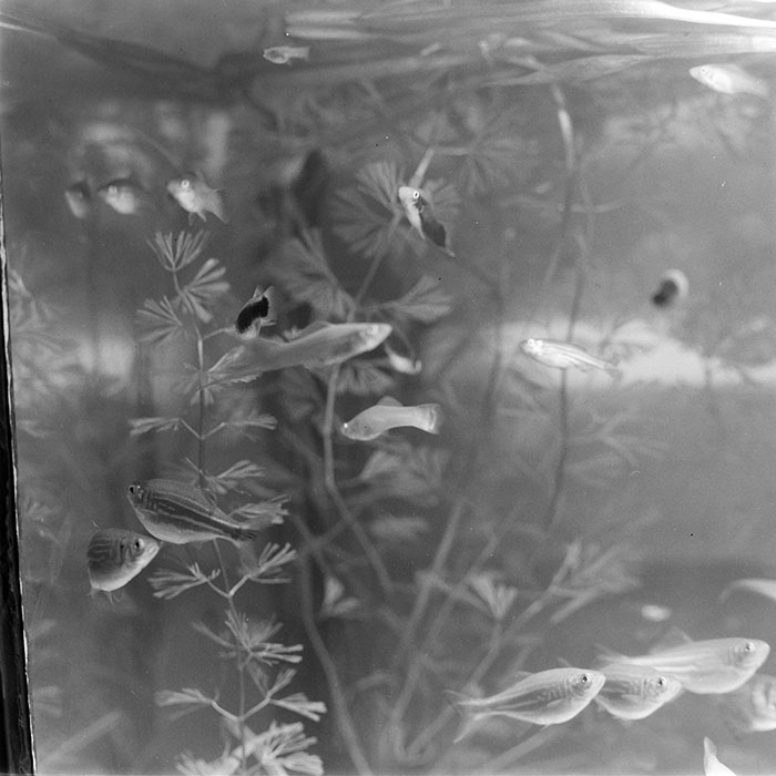 minerva_1967-1973_c1_c3r14_012