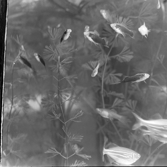 minerva_1967-1973_c1_c3r14_013