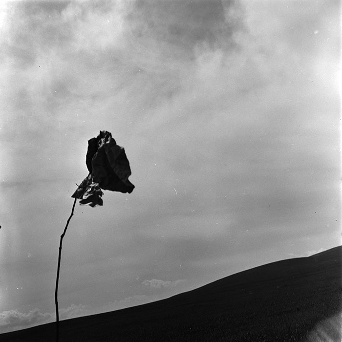 minerva_1967-1973_c1_c3r15_007