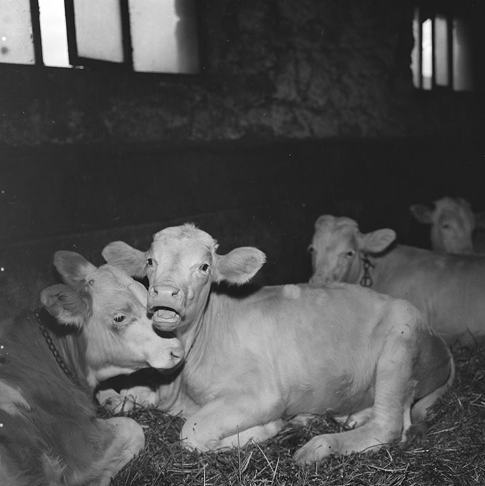 minerva_1967-1973_c1_c3r7_001