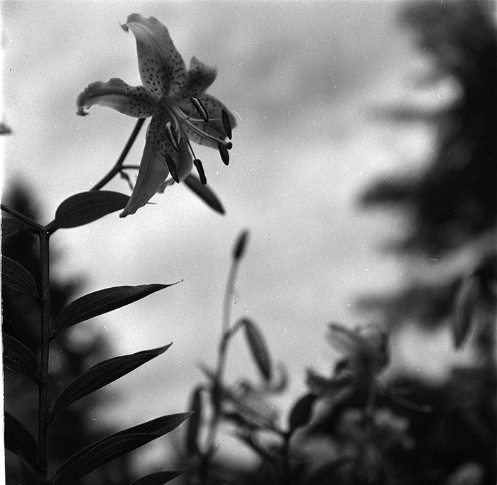 minerva_1967-1973_c1_c3r8_001