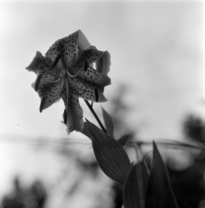 minerva_1967-1973_c1_c3r8_005