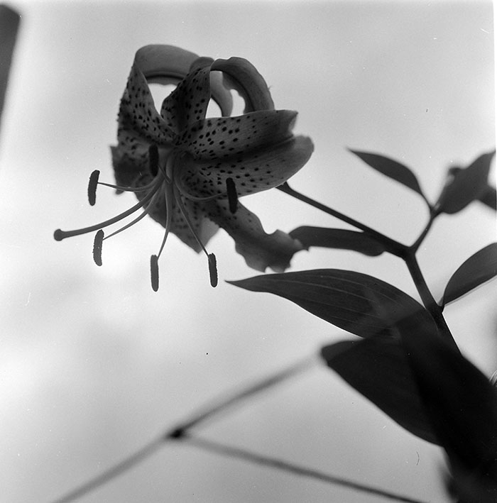 minerva_1967-1973_c1_c3r8_006