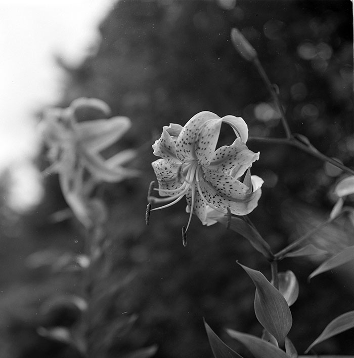 minerva_1967-1973_c1_c3r8_007