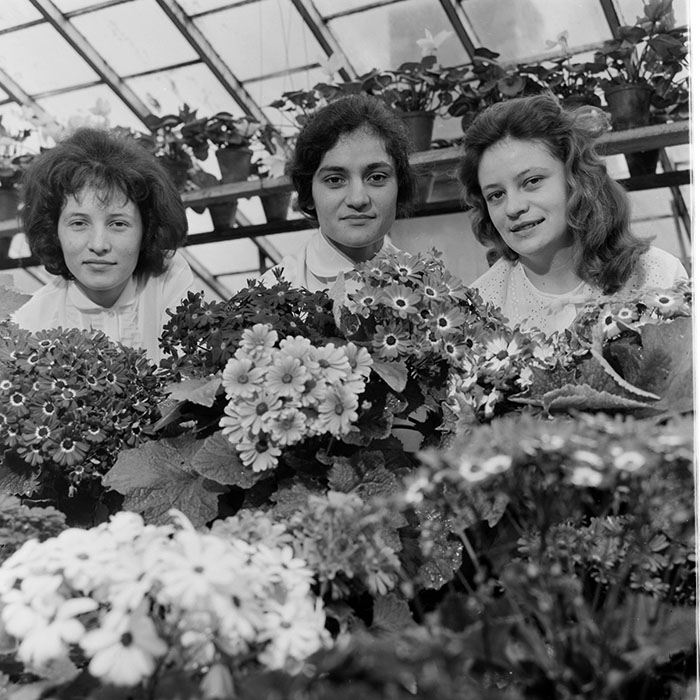 minerva_1967-1973_c1_c4r11_002