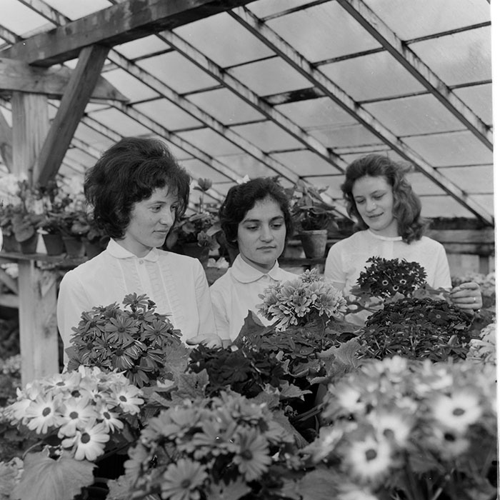 minerva_1967-1973_c1_c4r11_003