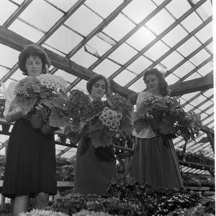 minerva_1967-1973_c1_c4r11_004