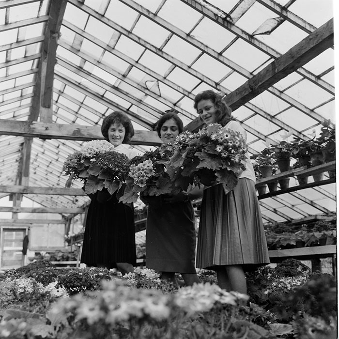 minerva_1967-1973_c1_c4r11_005