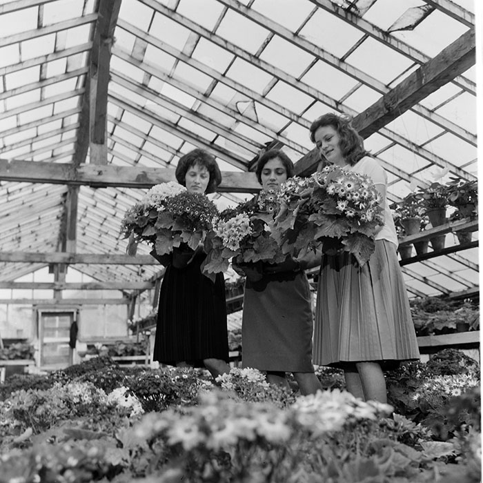 minerva_1967-1973_c1_c4r11_006