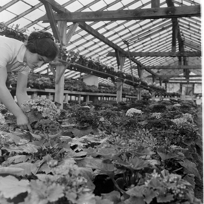 minerva_1967-1973_c1_c4r11_007