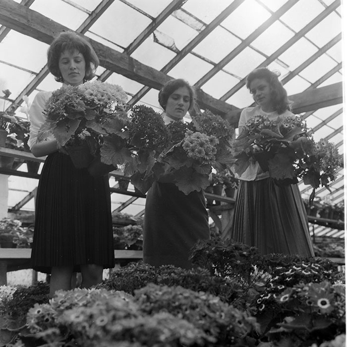 minerva_1967-1973_c1_c4r11_009