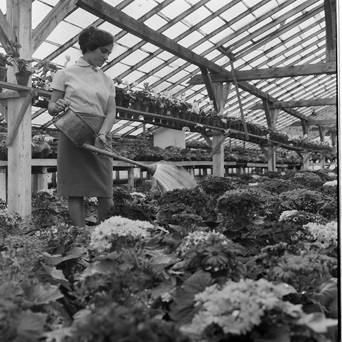 minerva_1967-1973_c1_c4r11_010