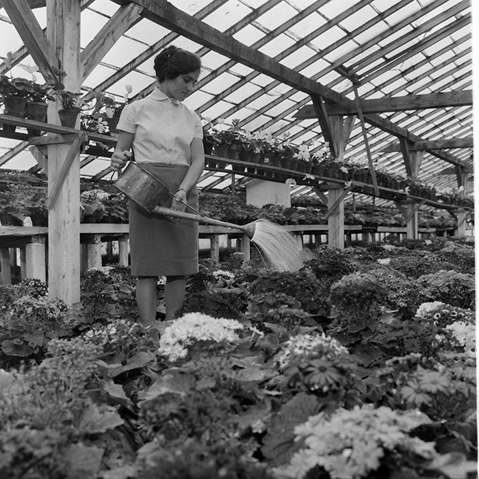 minerva_1967-1973_c1_c4r11_011