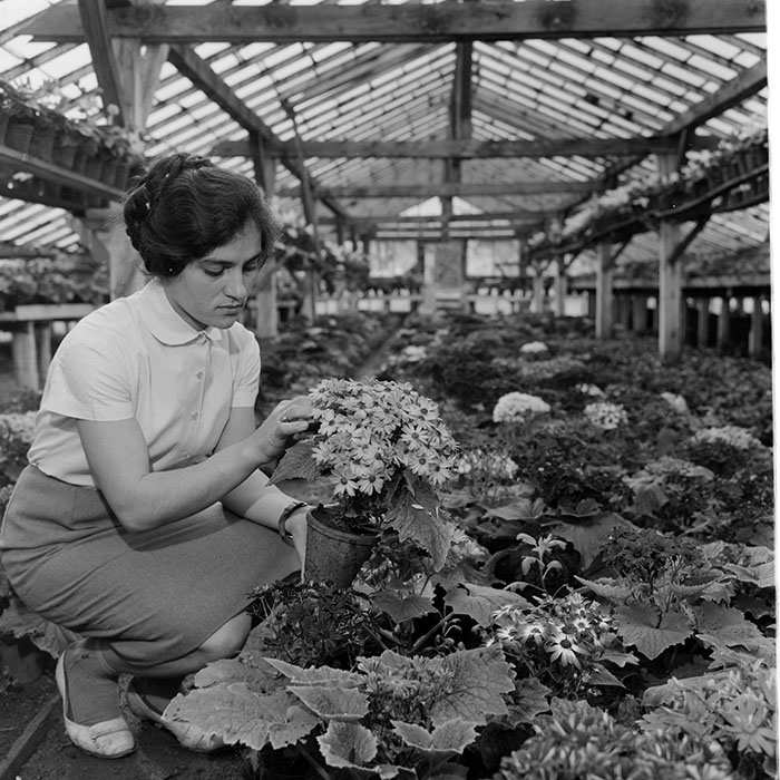 minerva_1967-1973_c1_c4r11_012