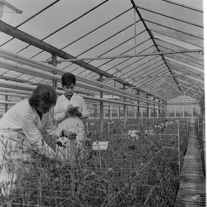 minerva_1967-1973_c1_c4r11_013