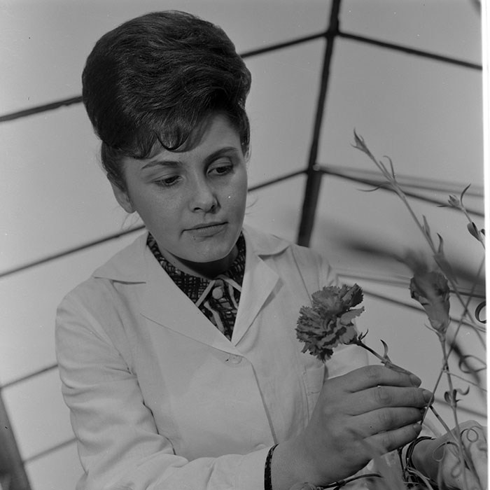 minerva_1967-1973_c1_c4r11_016