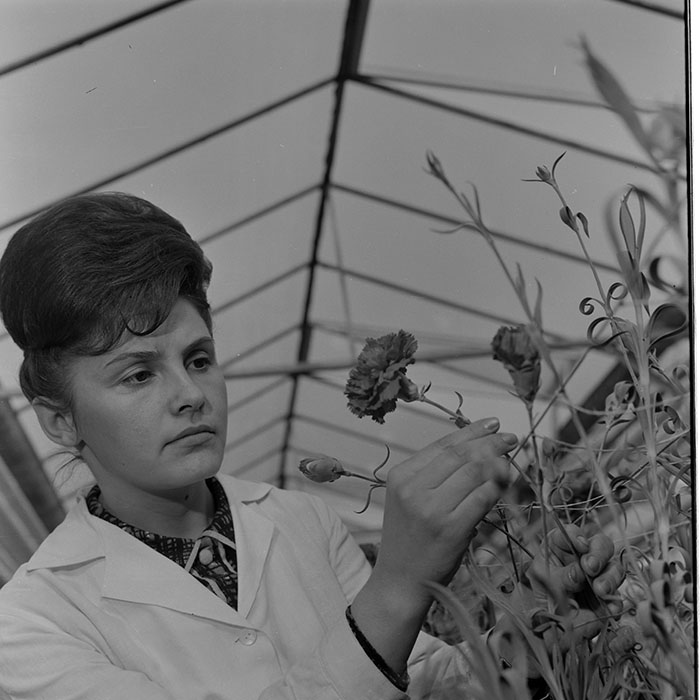 minerva_1967-1973_c1_c4r11_017