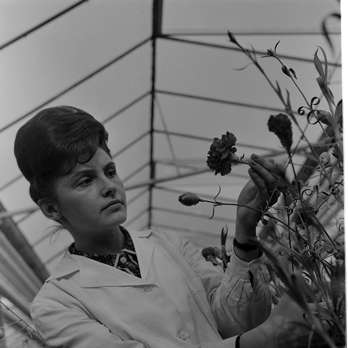 minerva_1967-1973_c1_c4r11_018