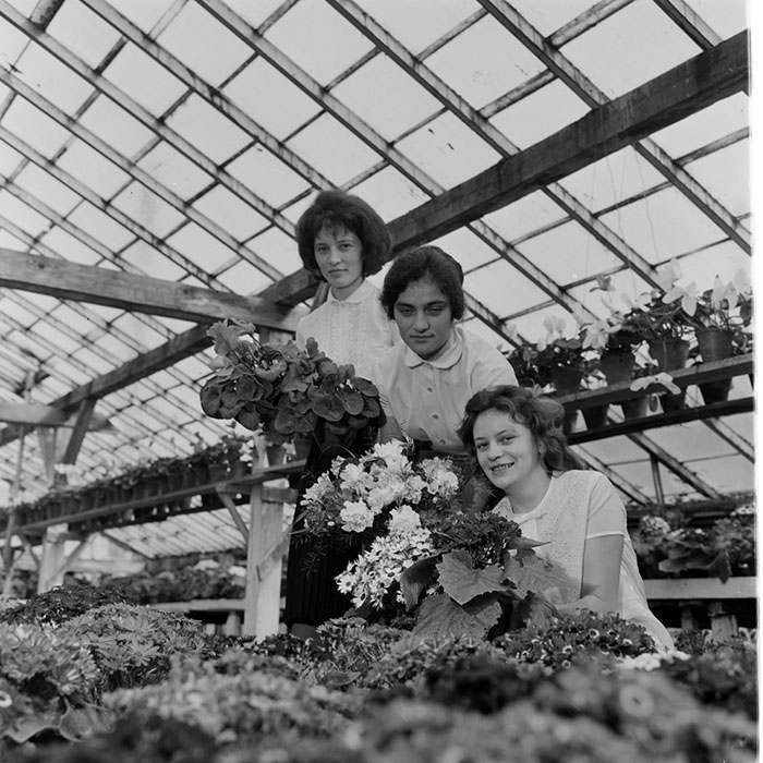 minerva_1967-1973_c1_c4r11_019