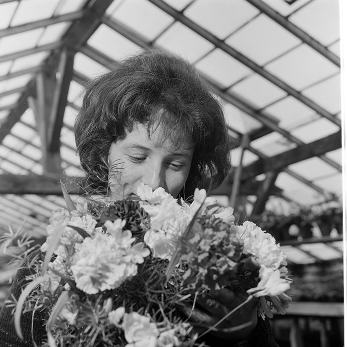 minerva_1967-1973_c1_c4r11_020