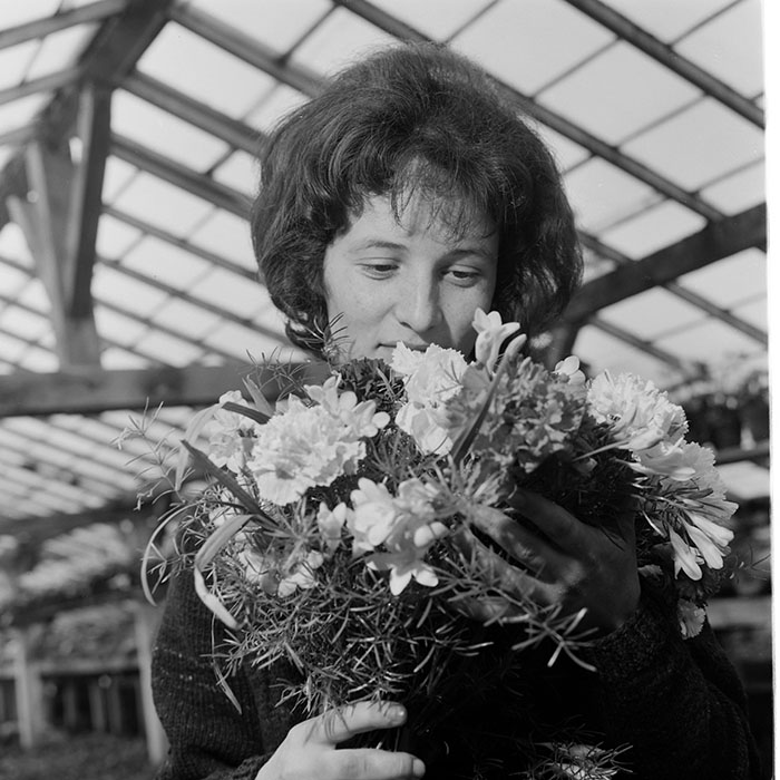 minerva_1967-1973_c1_c4r11_021