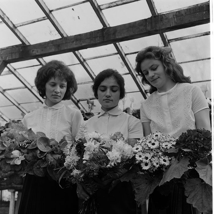 minerva_1967-1973_c1_c4r11_022