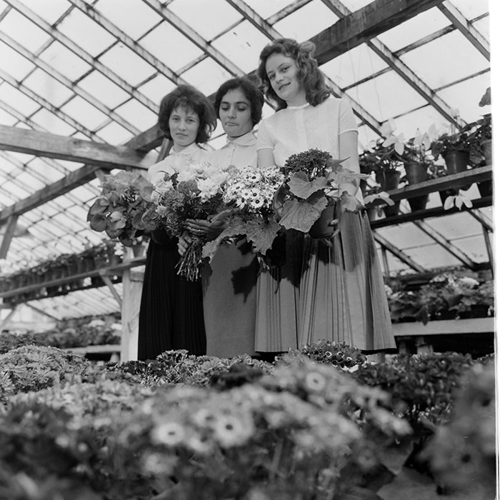 minerva_1967-1973_c1_c4r11_024