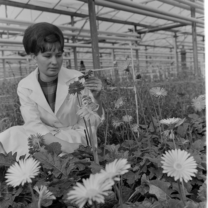 minerva_1967-1973_c1_c4r11_026