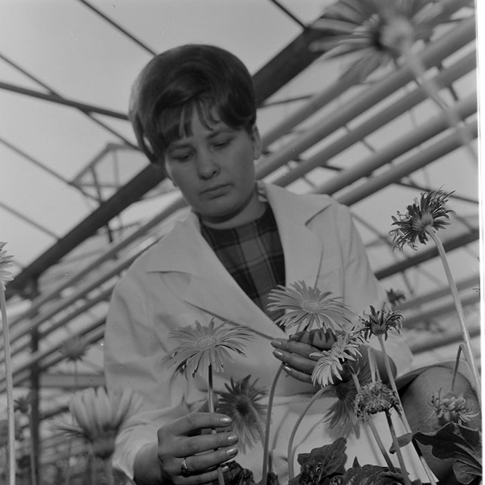 minerva_1967-1973_c1_c4r11_027