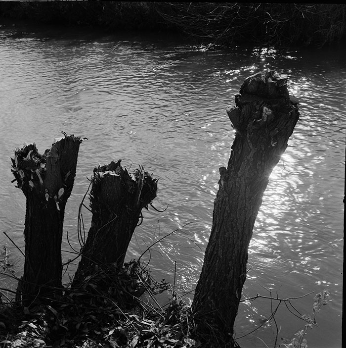 minerva_1967-1973_c1_c4r6_001